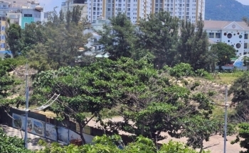 Bà Rịa – Vũng Tàu: Một cán bộ văn phòng nhận 43 tỷ đồng để môi giới hối lộ