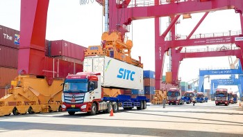 THILOGI đẩy mạnh dịch vụ xuất khẩu chính ngạch sầu riêng qua cảng Chu Lai