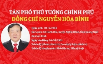 Tiểu sử Tân Phó Thủ tướng Chính phủ Nguyễn Hoà Bình