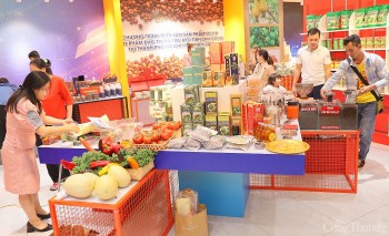 Dư địa xuất khẩu hàng hóa sang thị trường Nhật Bản còn rất lớn