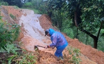 Lào Cai: Điện lực Bắc Hà nỗ lực khắc phục sự cố hệ thống điện do mưa lũ