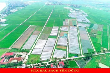 Bắc Giang: Ứng dụng công nghệ cao trong phát triển nông nghiệp tại huyện Yên Dũng