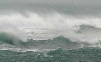 Dự báo thời tiết biển ngày 31/8/2024: Mưa dông, gió mạnh, biển động sóng lớn