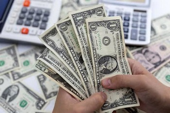 Tỷ giá USD hôm nay 31/8/2024: Đồng USD tăng mạnh