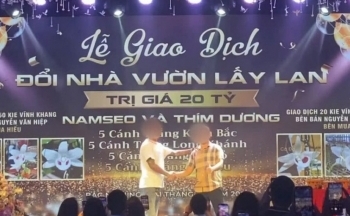 Đổi nhà 20 tỷ lấy lan đột biến, 'cơn sốt' quay trở lại hay chiêu 'lùa gà'?