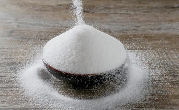 Thị trường cà phê biến động nhẹ, giá ca cao tăng mạnh