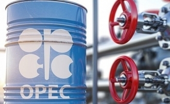 Bí mật đằng sau sự sụt giảm sản lượng của OPEC