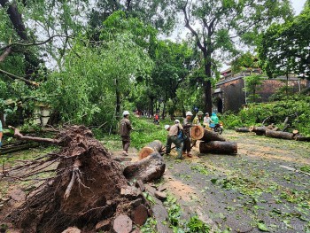 'Hậu bão Yagi' Bộ Tài nguyên và Môi trường nói gì?