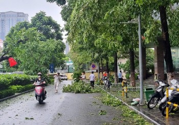 Hà Nội: Người người, nhà nhà tập trung khắc phục hậu quả bão số 3