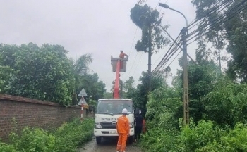 PC Vĩnh Phúc khắc phục sự cố do cơn bão số 3 (Yagi) gây ra