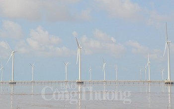 Nhà đầu tư đề xuất làm 2 dự án điện gió công suất 7.000MW tại huyện Cần Giờ