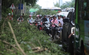 Hà Nội chiều 9/9 đường phố vẫn ngổn ngang cây đổ, ách tắc giao thông nghiêm trọng sau bão Yagi