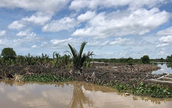 Kiên Giang: Lấn chiếm gần 24 ha đầm Đông Hồ, 3 người bị xử phạt 1,5 tỷ đồng