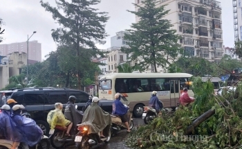 Dự báo thời tiết Hà Nội ngày 10/9/2024: Hà Nội mưa lớn, cảnh báo lũ khẩn cấp trên các sông