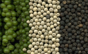 Nhu cầu trở lại từ thị trường Trung Quốc: Giá hồ tiêu còn tăng cao?