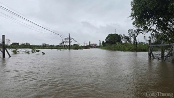 Tin lũ trên sông Gùa, sông Rạng, sông Luộc tại tỉnh Hải Dương
