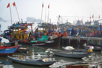 Tỉnh Quảng Nam quyết xóa tàu cá '3 không'