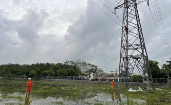 100% khách hàng sử dụng điện bị ảnh hưởng bởi bão số 3 tại Hưng Yên được cấp điện trở lại