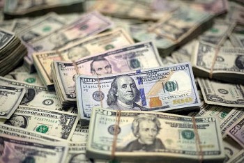 Tỷ giá USD hôm nay 11/9/2024: Đồng USD giảm trước dữ liệu lạm phát