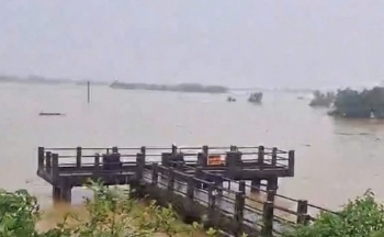 Mực nước sông Phó Đáy ở Vĩnh Phúc lên báo động số III