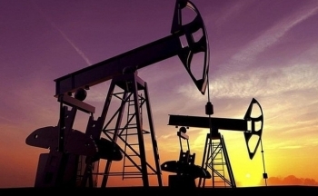 Giá dầu lao dốc mạnh: OPEC cắt giảm dự báo nhu cầu dầu