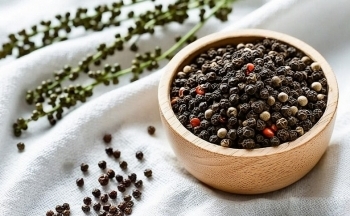 Giá hồ tiêu khởi sắc nhờ lực mua từ Trung Quốc