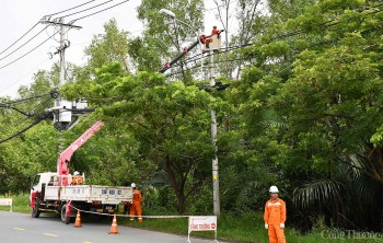 Ngành điện TP. Hồ Chí Minh: Hạn chế thấp nhất các sự cố mùa mưa bão