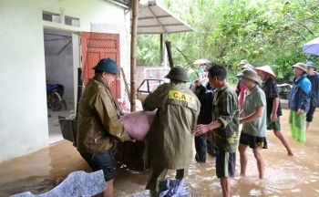Tuyên Quang: Thiệt hãi do bão lũ tại Hàm Yên ước tính 36 tỷ đồng