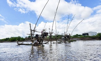 Cà Mau: Kiên quyết chấm dứt khai thác thủy sản có tính hủy diệt
