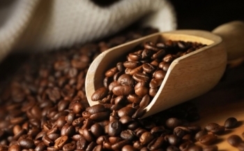 Nguyên nhân nào khiến thị trường cà phê nội địa lo thiếu hàng?