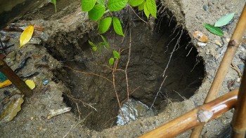 Quảng Trị: Xuất hiện hố sụt sau khi mưa lớn xảy ra