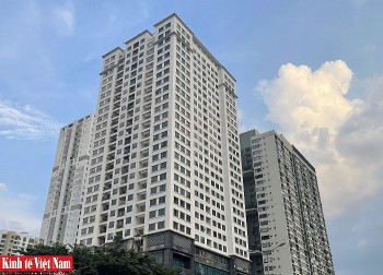 Hệ lụy tiềm ẩn từ việc đầu cơ,