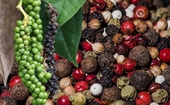 Giá ''vàng đen'' tăng liên tiếp, tín hiệu vui cho ngành hồ tiêu Việt