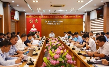 Lào Cai: Thiệt hại gần 6.000 tỷ đồng, bàn phương án ổn định cuộc sống, phát triển kinh tế