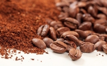 Giá cà phê Robusta vượt Arabica 887 USD/tấn: Sự đảo ngược bất ngờ