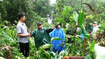 Khảo sát lập làng mới cho 26 hộ dân bị sạt lở ở Quảng Nam