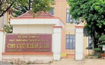 Chi cục trưởng Chi cục Kiểm lâm Gia Lai nghỉ hưu trước tuổi