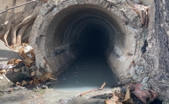 Vũng Tàu: Chủ quán ốc Tự Nhiên 2 bị phạt hơn 300 triệu đồng vì xả thải ra môi trường