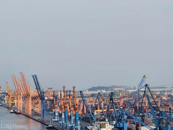 Hải quan yêu cầu Bộ Tài nguyên và Môi trường xác định 4 mặt hàng phế liệu, chất thải chờ nhập khẩu