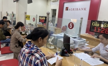Hải Phòng: Sẵn sàng giãn, hoãn nợ tiếp sức cho người dân, doanh nghiệp sau bão số 3