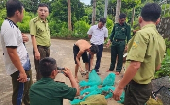 Bà Rịa – Vũng Tàu: Xử phạt người đàn ông vận chuyển 17 cá thể động vật quý hiếm