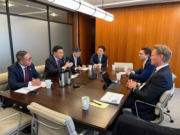 CIP và Petrovietnam thúc đẩy hợp tác trong lĩnh vực năng lượng xanh