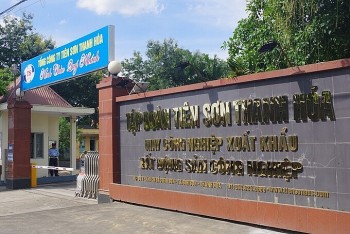 Vì sao Công ty Tiên Sơn Thanh Hoá bị xử phạt 300 triệu đồng?