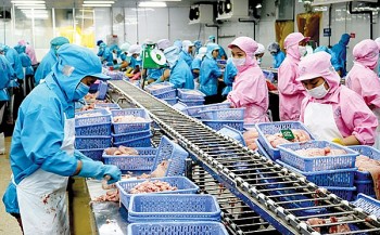 Cần Thơ: Kim ngạch xuất khẩu hàng hóa đạt gần 1,8 tỷ USD