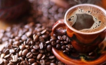 Dự báo giá cà phê ngày mai (4/10/2024): Xu hướng tăng nhưng tiềm ẩn nhiều biến động