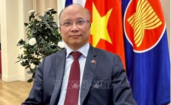 Đại sứ Đinh Toàn Thắng: Nhiều dư địa làm sâu sắc hơn quan hệ Việt Nam - Pháp