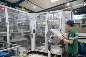 Quý III/2024 tăng trưởng tốt, quy mô kinh tế Đà Nẵng mở rộng thêm hơn 11.700 tỷ đồng