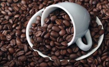 Ủy ban châu Âu gia hạn thời gian thực hiện quy định EUDR, giá cà phê tiếp tục giảm