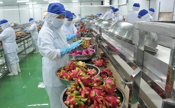 Để nông sản Việt tận dụng được ưu thế của Hiệp định RCEP