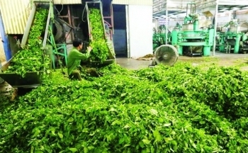 Sắp diễn ra Hội nghị xúc tiến đầu tư tỉnh Lai Châu năm 2024